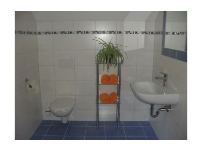 Apartment Bio-Wohlfühlhaus Morgensonne - Features photo 58