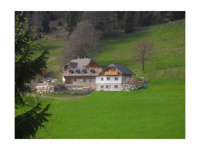 Apartment Bio-Wohlfühlhaus Morgensonne - Features photo 66
