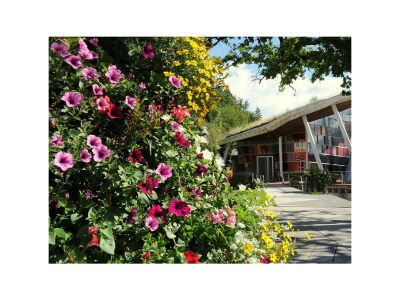 Holiday room Doppelzimmer mit Dusche, WC, Komfort - Outdoor photo 24