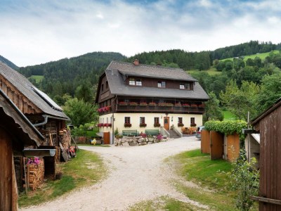 Holiday room Doppelzimmer mit DU/WC Familie in Aigen im Ennstal - Holiday room