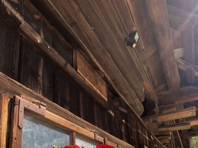 Holiday room Doppelzimmer mit DU/WC Familie - Outdoor photo 10