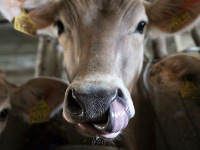 Holiday room Doppelzimmer mit DU/WC Familie - Outdoor photo 18