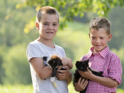 Holiday room Doppelzimmer mit DU/WC Familie - Outdoor photo 19
