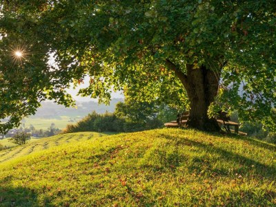 Holiday room Doppelzimmer mit DU/WC Familie - Outdoor photo 22