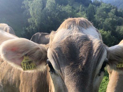 Holiday room Doppelzimmer mit DU/WC Familie - Outdoor photo 28