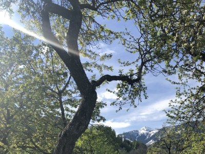 Holiday room Doppelzimmer mit DU/WC Familie - Outdoor photo 30