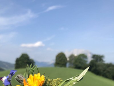 Holiday room Doppelzimmer mit DU/WC Familie - Outdoor photo 33