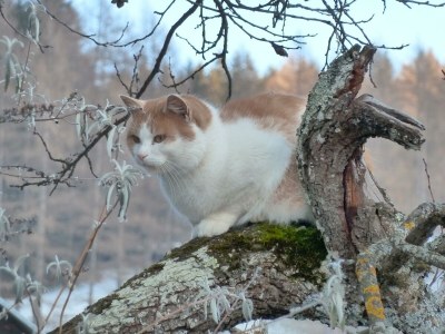 Holiday room Doppelzimmer mit DU/WC Familie - Outdoor photo 40