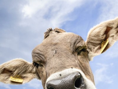 Holiday room Doppelzimmer mit DU/WC Familie - Outdoor photo 48