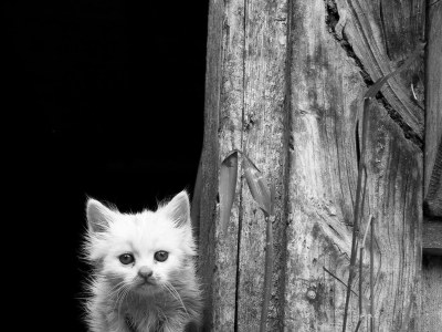 Holiday room Doppelzimmer mit DU/WC Familie - Outdoor photo 51