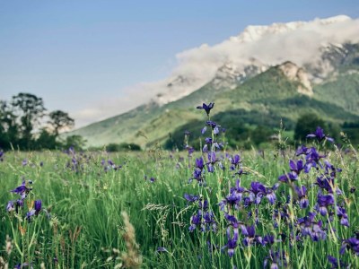 Holiday room Doppelzimmer mit DU/WC Familie - Outdoor photo 62