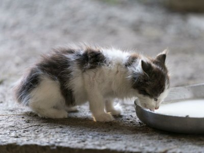 Holiday room Doppelzimmer mit DU/WC Familie - Outdoor photo 71