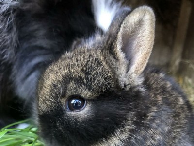 Holiday room Doppelzimmer mit DU/WC Familie - Environment photo 85