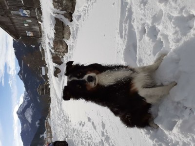 Apartment Bergglück - Outdoor photo 3