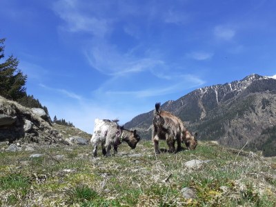 Apartment Bergglück - Outdoor photo 5