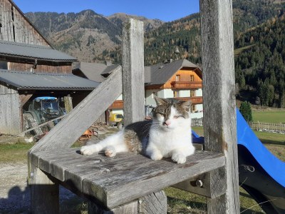 Apartment Bergglück - Outdoor photo 6