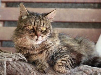 Apartment Bergglück - Outdoor photo 13