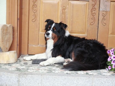 Apartment Bergglück - Outdoor photo 14