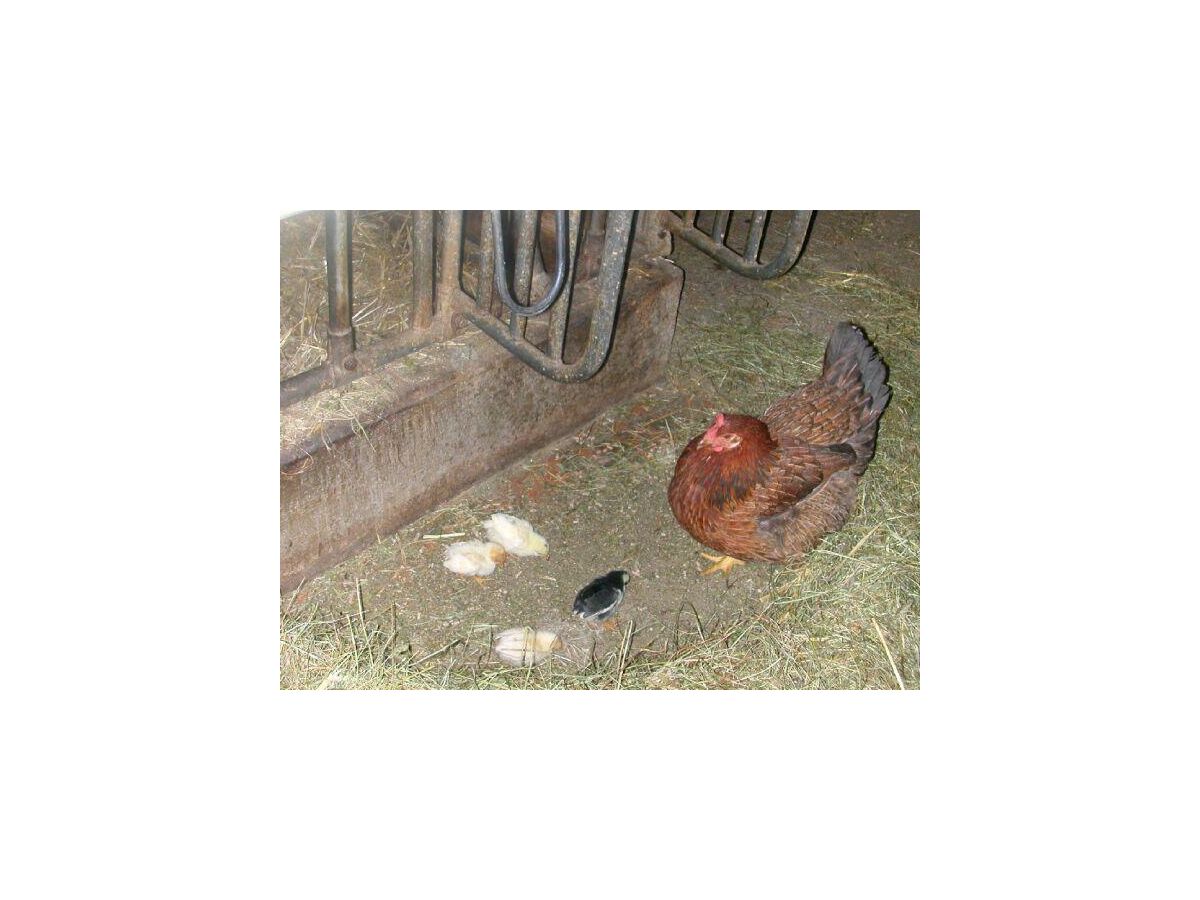 Apartment Ferienwohnung Putterersee - 2 Schlafräume - Outdoor photo 3