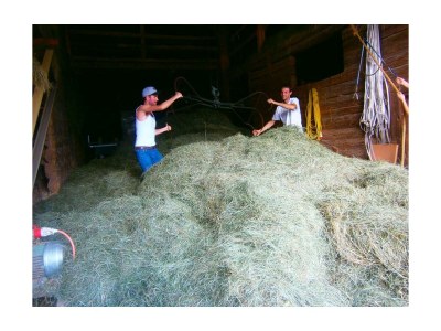 Apartment Ferienwohnung Putterersee - 2 Schlafräume - Outdoor photo 11