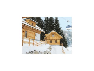 Apartment Chalet " Alpenkräuter" in Irdning-Donnersbachtal - Apartment