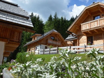 Apartment Chalet " Alpenkräuter" - Features photo 34