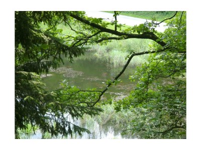 Holiday room Familienzimmer Siebenschläfer ohne Verpflegung - Outdoor photo 6