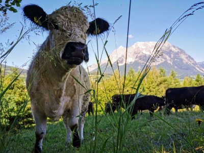 Holiday room Familienzimmer Siebenschläfer ohne Verpflegung - Outdoor photo 7