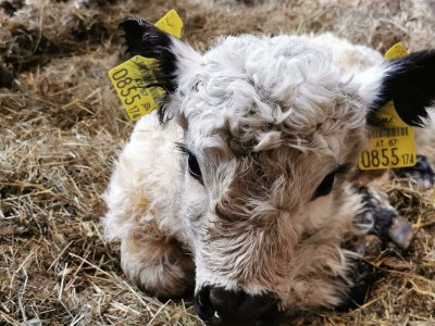 Holiday room Familienzimmer Siebenschläfer ohne Verpflegung - Outdoor photo 10