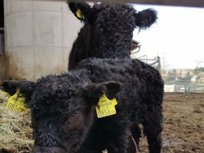 Holiday room Familienzimmer Siebenschläfer ohne Verpflegung - Outdoor photo 11