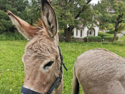 Holiday room Familienzimmer Siebenschläfer ohne Verpflegung - Outdoor photo 13