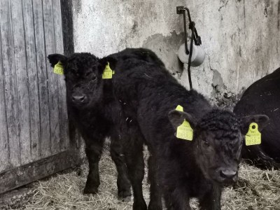 Holiday room Familienzimmer Siebenschläfer ohne Verpflegung - Outdoor photo 14