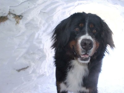 Holiday room Familienzimmer Siebenschläfer ohne Verpflegung - Outdoor photo 20