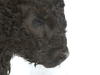 Holiday room Familienzimmer Siebenschläfer ohne Verpflegung - Outdoor photo 23