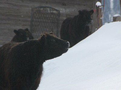 Holiday room Familienzimmer Siebenschläfer ohne Verpflegung - Outdoor photo 24