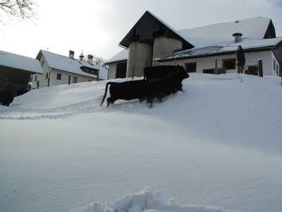 Holiday room Familienzimmer Siebenschläfer ohne Verpflegung - Outdoor photo 25