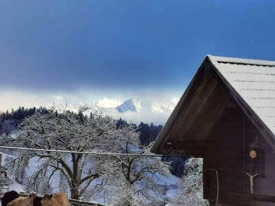 Holiday room Familienzimmer Siebenschläfer ohne Verpflegung - Outdoor photo 26
