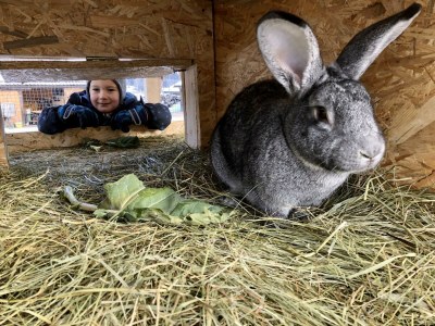 Holiday room Familienzimmer Siebenschläfer ohne Verpflegung - Outdoor photo 27