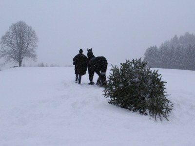 Holiday room Familienzimmer Siebenschläfer ohne Verpflegung - Outdoor photo 30
