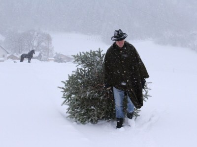 Holiday room Familienzimmer Siebenschläfer ohne Verpflegung - Outdoor photo 32