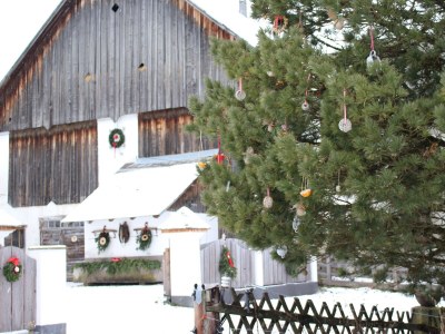 Holiday room Familienzimmer Siebenschläfer ohne Verpflegung - Outdoor photo 37