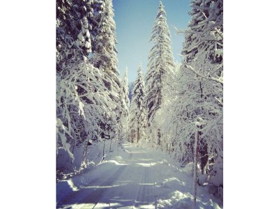Holiday room Familienzimmer Siebenschläfer ohne Verpflegung - Outdoor photo 40