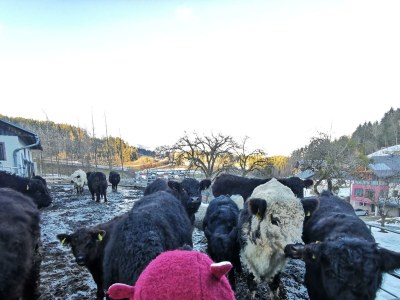 Holiday room Familienzimmer Siebenschläfer ohne Verpflegung - Outdoor photo 46