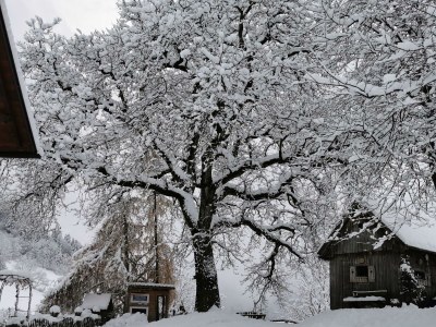 Holiday room Familienzimmer Siebenschläfer ohne Verpflegung - Outdoor photo 48