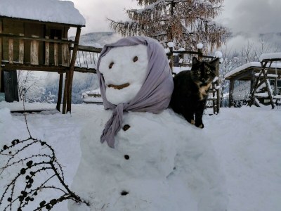 Holiday room Familienzimmer Siebenschläfer ohne Verpflegung - Outdoor photo 49