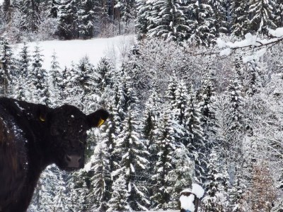 Holiday room Familienzimmer Siebenschläfer ohne Verpflegung - Outdoor photo 50