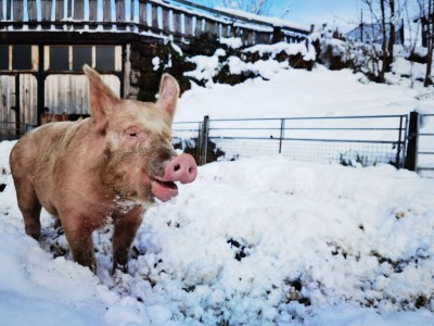 Holiday room Familienzimmer Siebenschläfer ohne Verpflegung - Outdoor photo 51