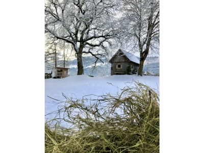 Holiday room Familienzimmer Siebenschläfer ohne Verpflegung - Outdoor photo 55