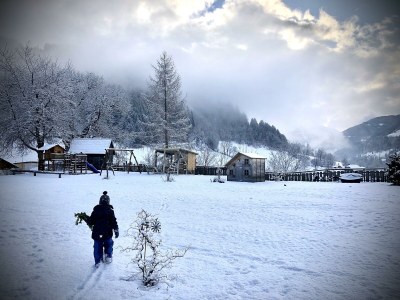 Holiday room Familienzimmer Siebenschläfer ohne Verpflegung - Outdoor photo 56