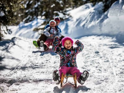 Apartment Appartement Donnersbach - Outdoor photo 13